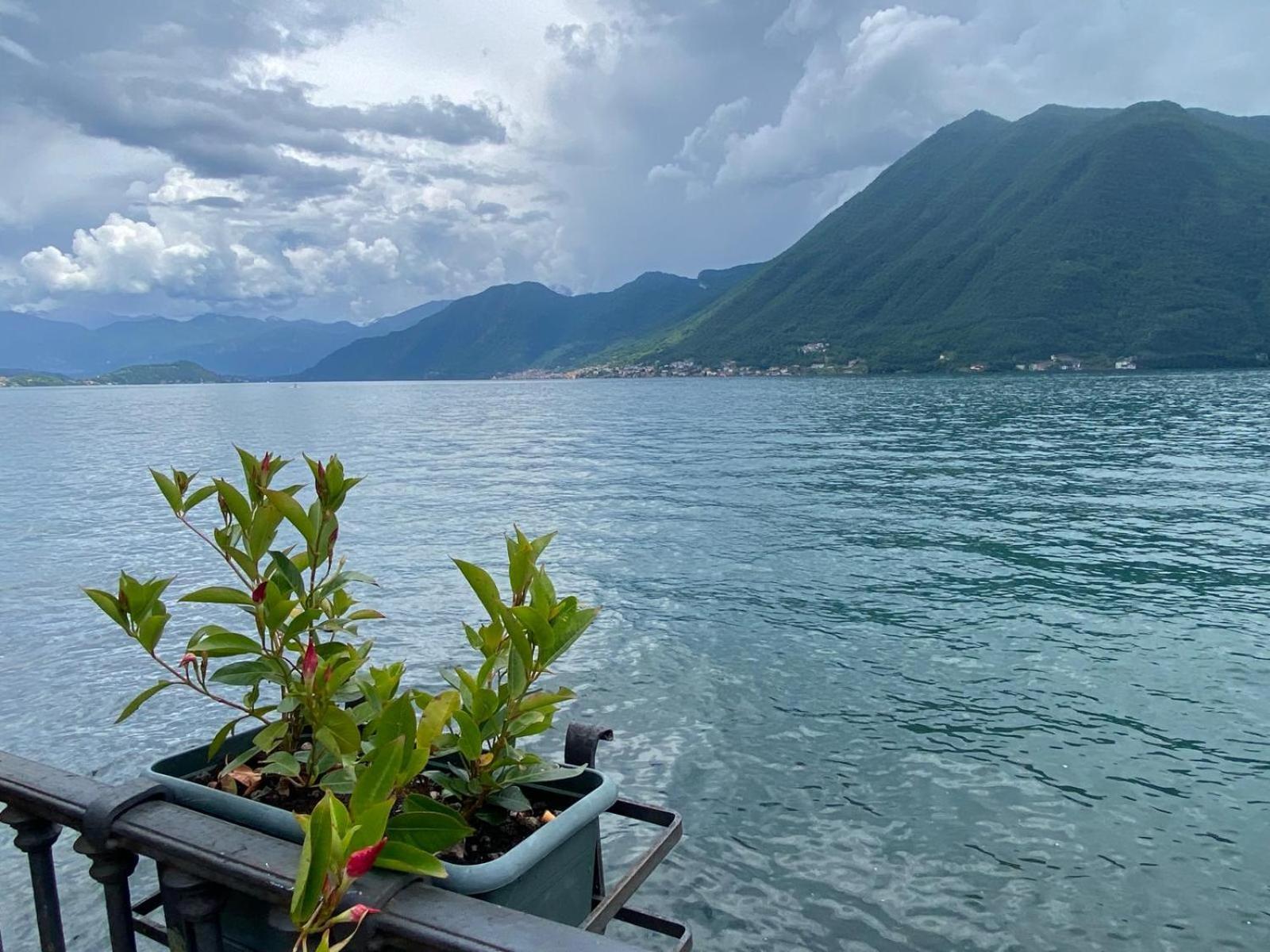 Argegno'S River - Central Apartment Lake View Camera foto